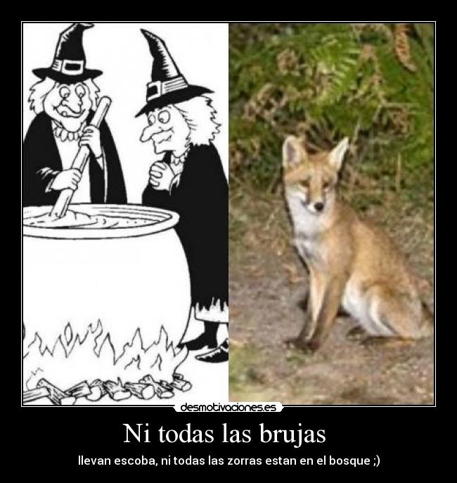 Ni todas las brujas - llevan escoba, ni todas las zorras estan en el bosque ;)