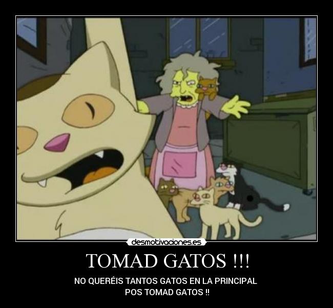 TOMAD GATOS !!! - NO QUERÉIS TANTOS GATOS EN LA PRINCIPAL 
POS TOMAD GATOS !!