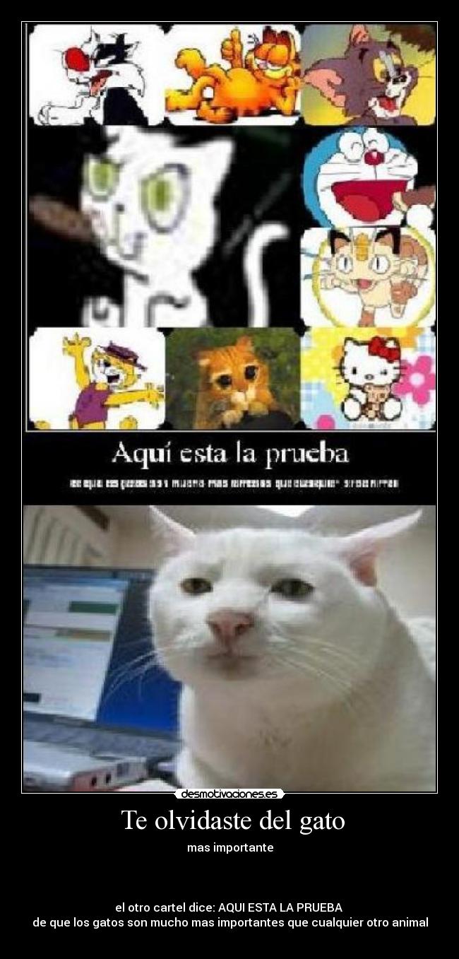  Te olvidaste del gato - mas importante
 


el otro cartel dice: AQUI ESTA LA PRUEBA 
de que los gatos son mucho mas importantes que cualquier otro animal
