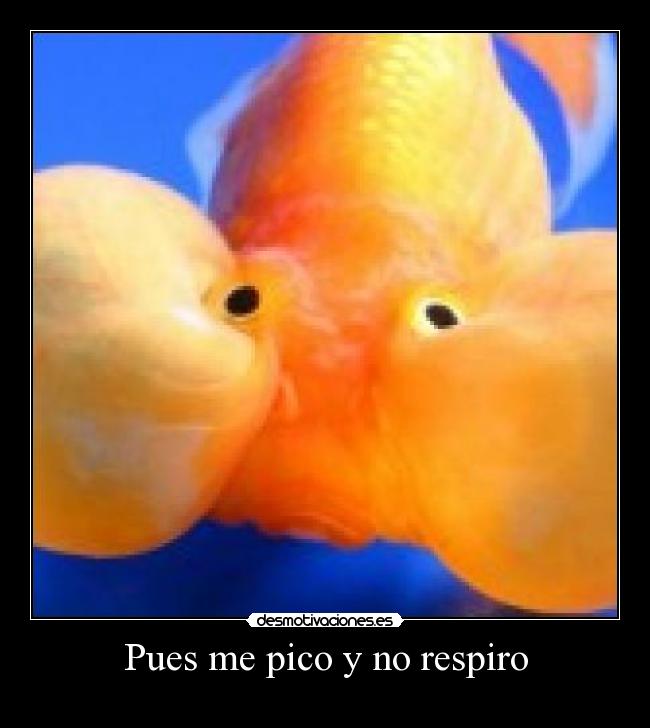 Pues me pico y no respiro - 