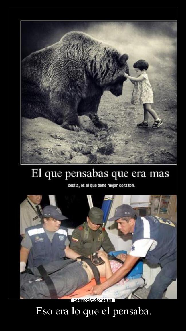 Eso era lo que el pensaba. -