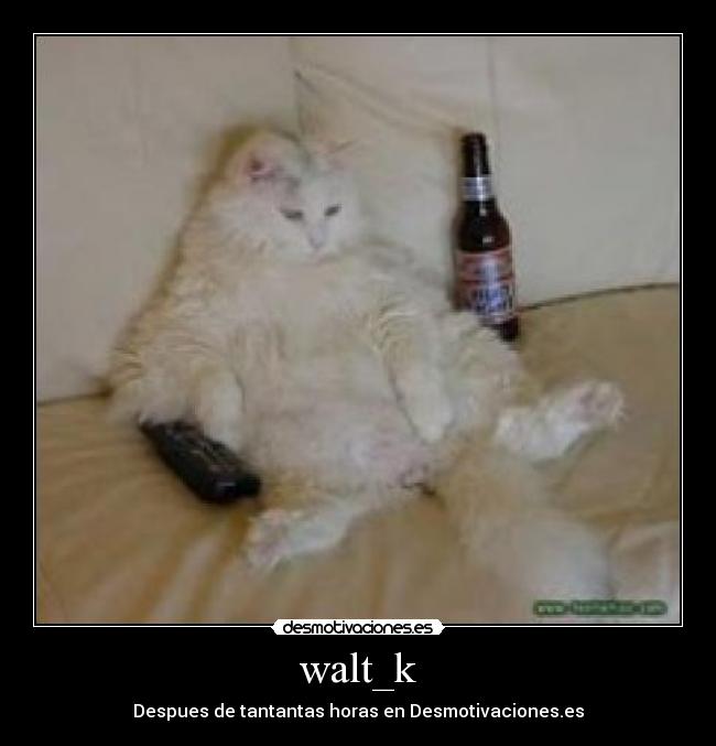walt_k - Despues de tantantas horas en Desmotivaciones.es