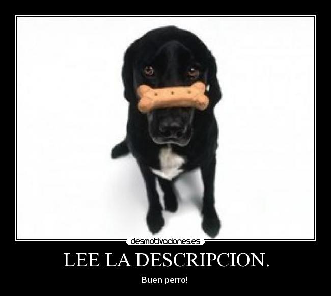 LEE LA DESCRIPCION. -