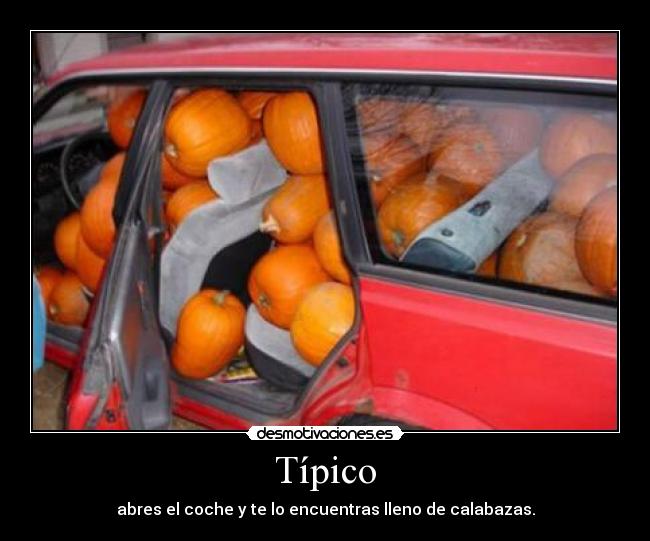 Típico - 