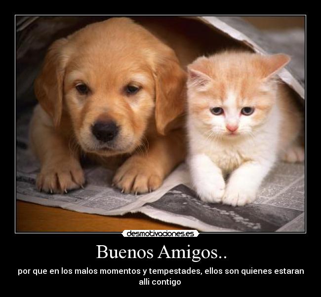 Buenos Amigos.. - 