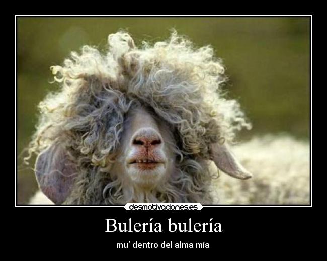 Bulería bulería - mu dentro del alma mía