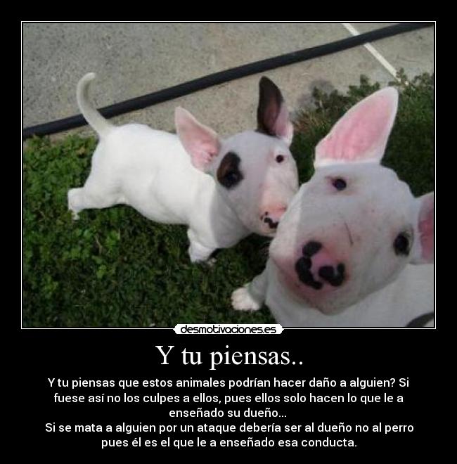 Y tu piensas.. -