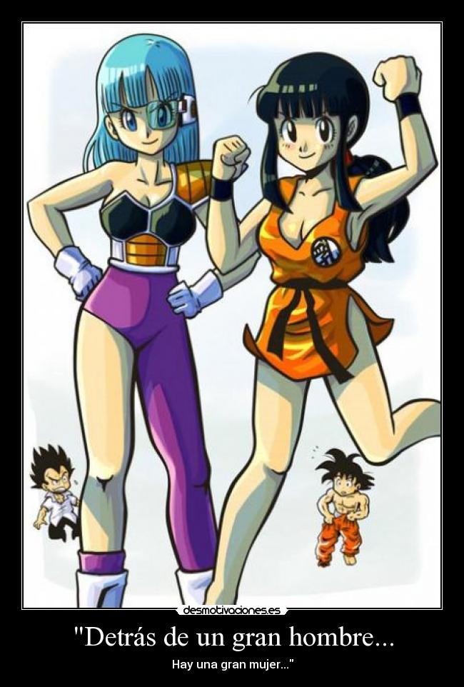 carteles hombre mujer goku vegeta bulma milk chichi desmotivaciones