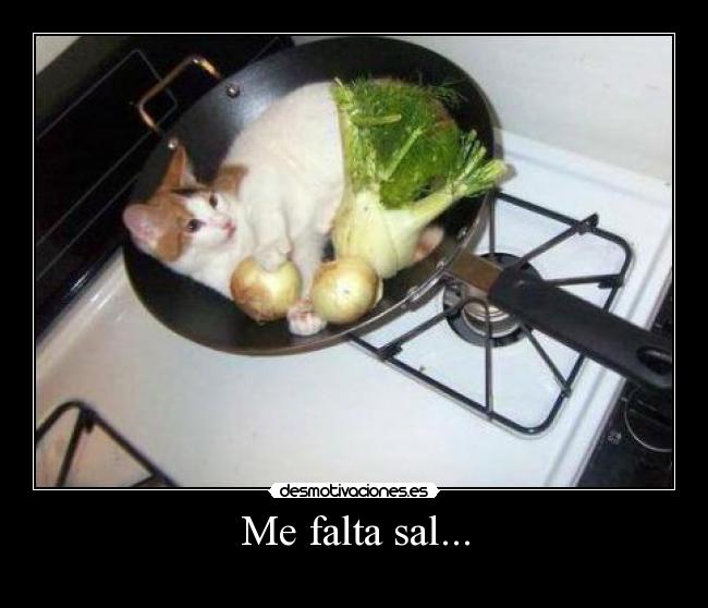 Me falta sal... - 