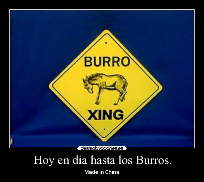 Hoy en dia hasta los Burros. -