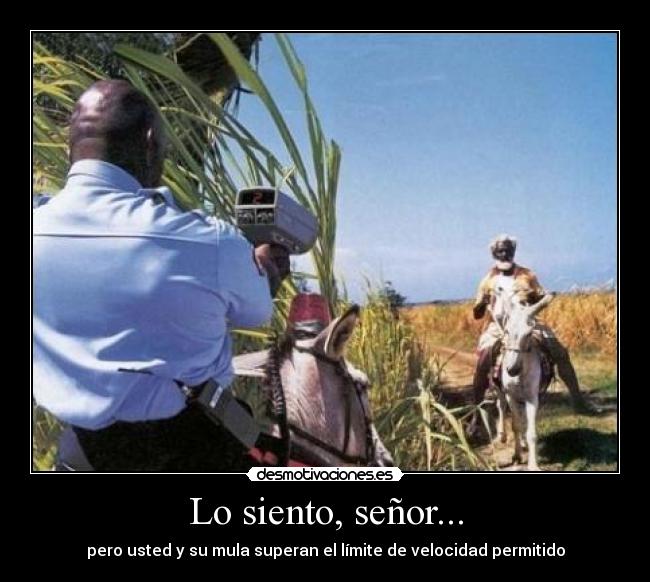 Lo siento, señor... - 