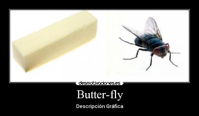 Butter-fly - Descripción Gráfica