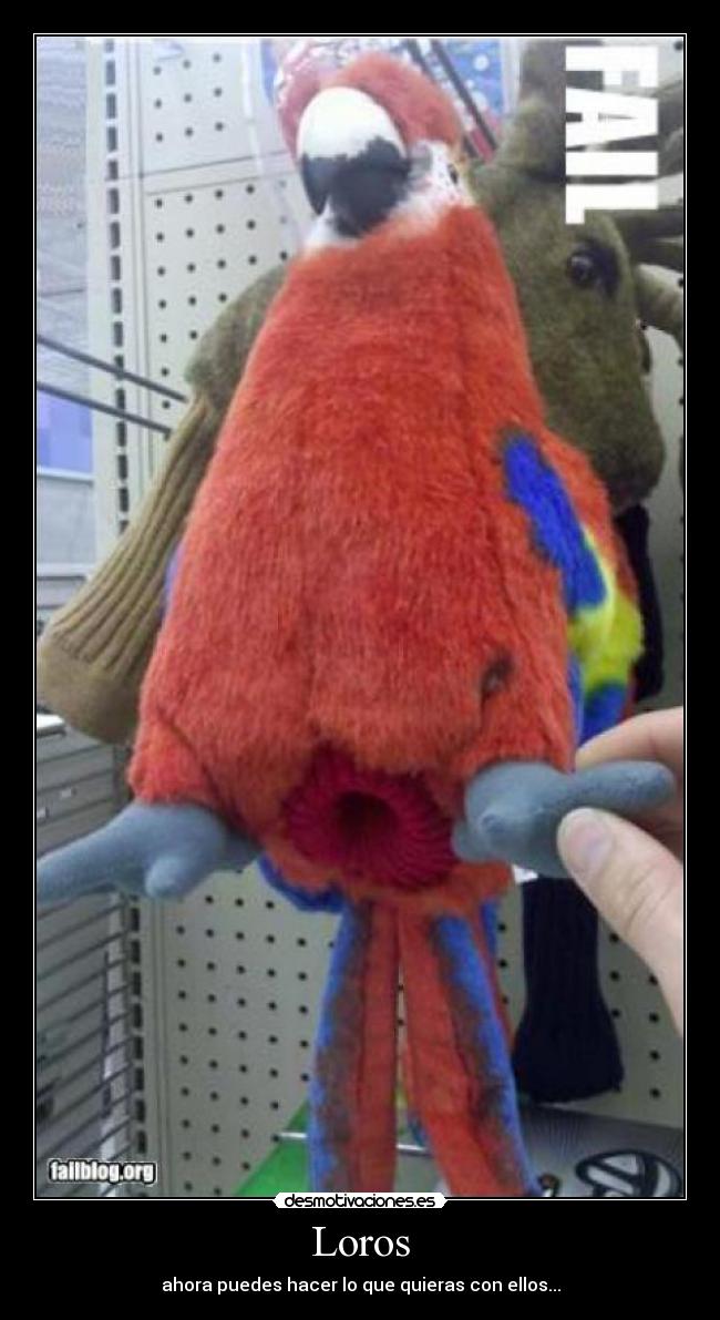 Loros - 