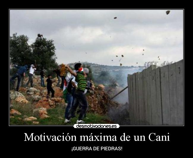 Motivación máxima de un Cani - 