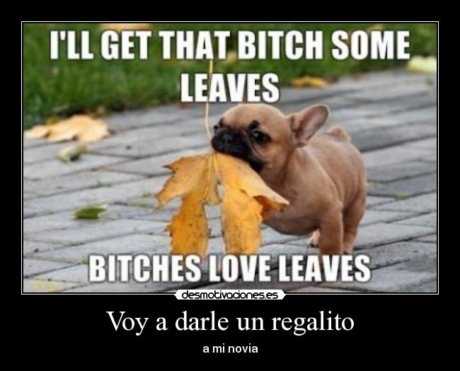 Voy a darle un regalito - 