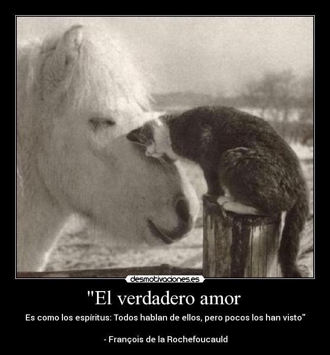 El verdadero amor  - 