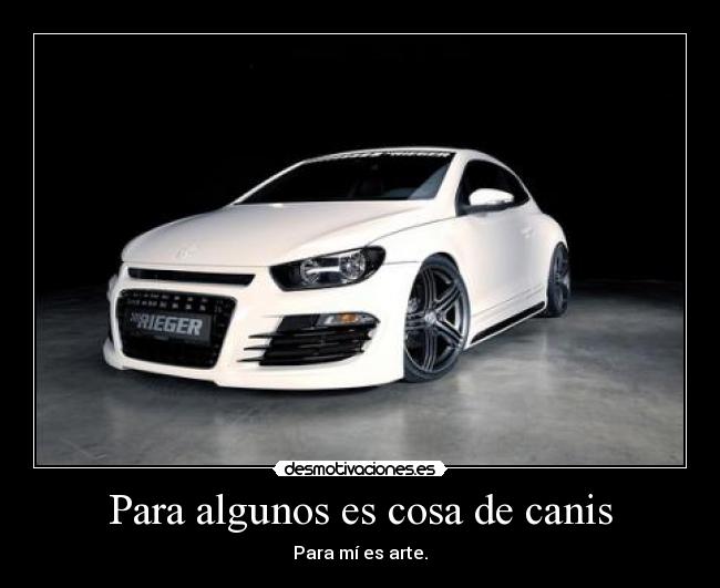 Para algunos es cosa de canis -