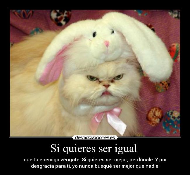 Si quieres ser igual - que tu enemigo véngate. Si quieres ser mejor, perdónale. Y por
desgracia para ti, yo nunca busqué ser mejor que nadie.