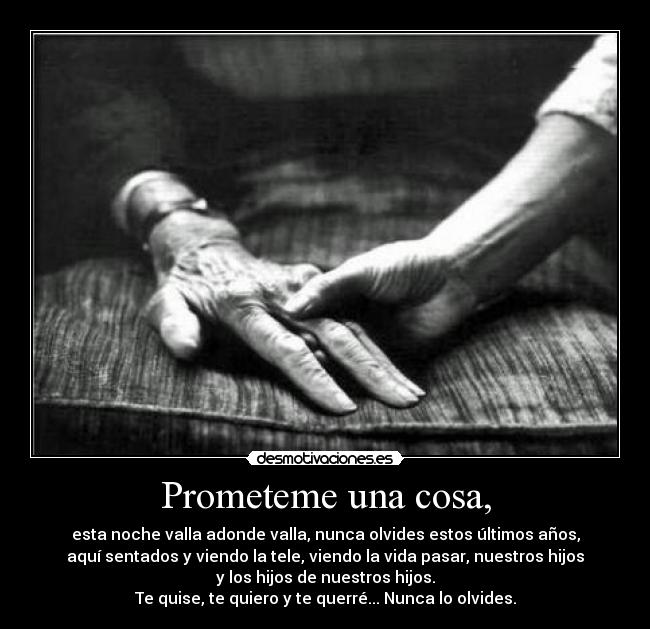 Prometeme una cosa, - esta noche valla adonde valla, nunca olvides estos últimos años,
aquí sentados y viendo la tele, viendo la vida pasar, nuestros hijos
y los hijos de nuestros hijos.
Te quise, te quiero y te querré... Nunca lo olvides.