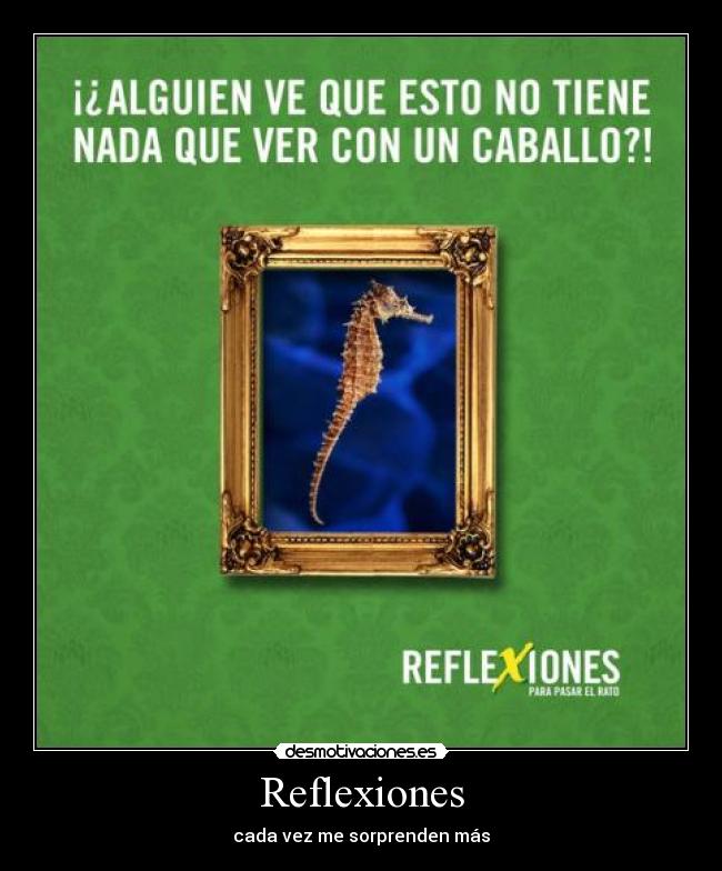 Reflexiones - cada vez me sorprenden más