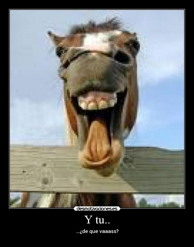 Y tu.. - ...¿de que vaaass?
