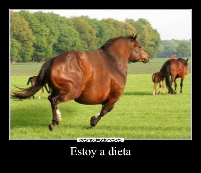 Estoy a dieta -