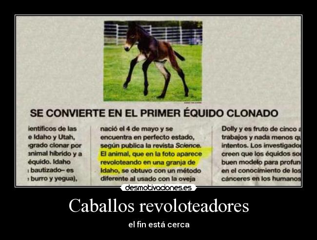 Caballos revoloteadores - el fin está cerca