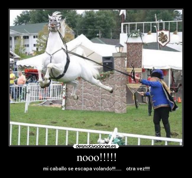 nooo!!!!! - mi caballo se escapa volando!!!.....    otra vez!!!!