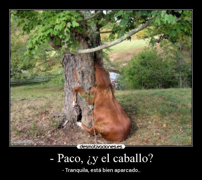 - Paco, ¿y el caballo? - - Tranquila, está bien aparcado..