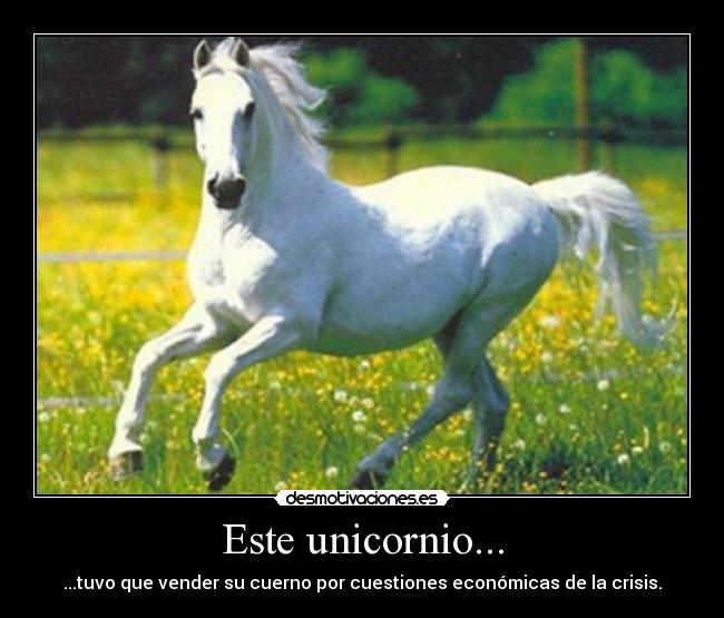 Este unicornio... - 