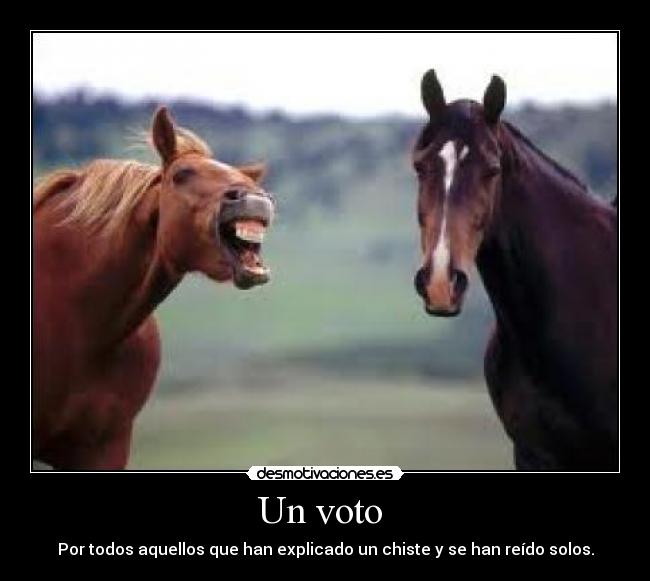 Un voto  - Por todos aquellos que han explicado un chiste y se han reído solos.