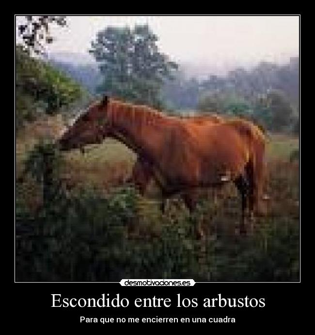 carteles dannyesku99 desmotivaciones