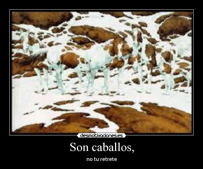 Son caballos, -