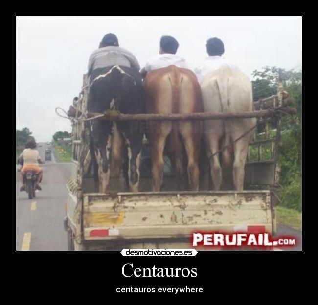 Centauros - centauros everywhere