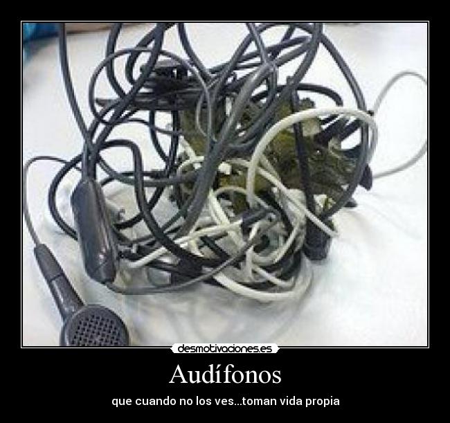 Audífonos - que cuando no los ves...toman vida propia