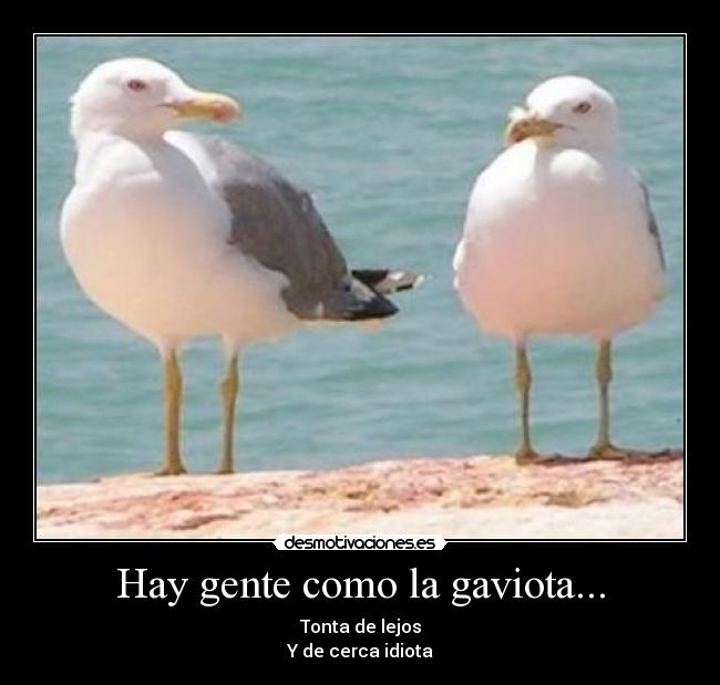carteles desmotivacioneses _-fox-_ desmotivaciones