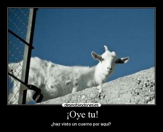 ¡Oye tu! - 