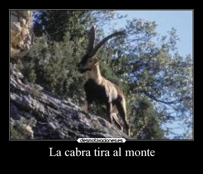 La cabra tira al monte -