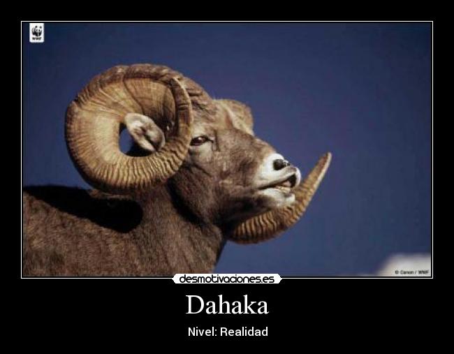 Dahaka -