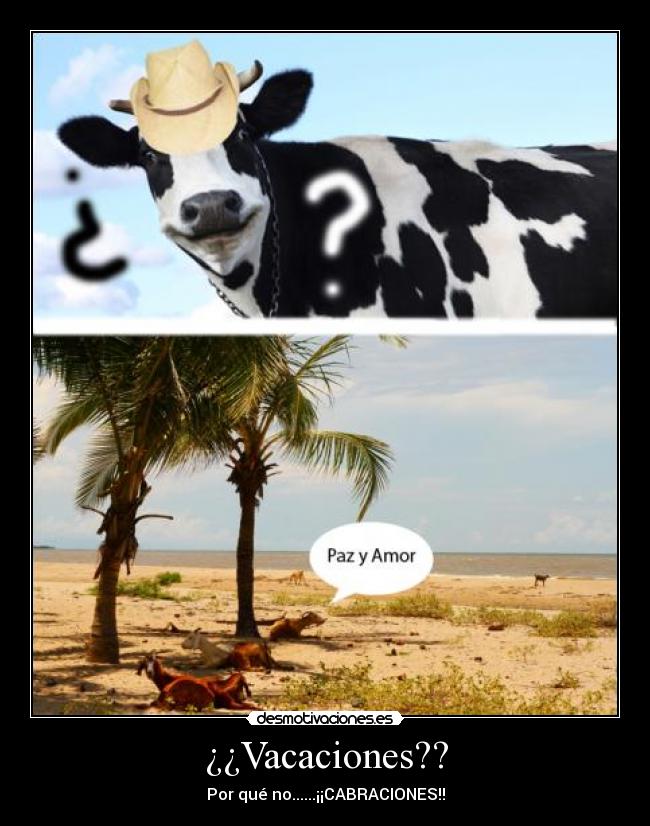 ¿¿Vacaciones?? -