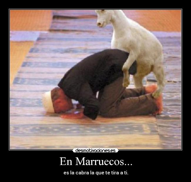 En Marruecos... -