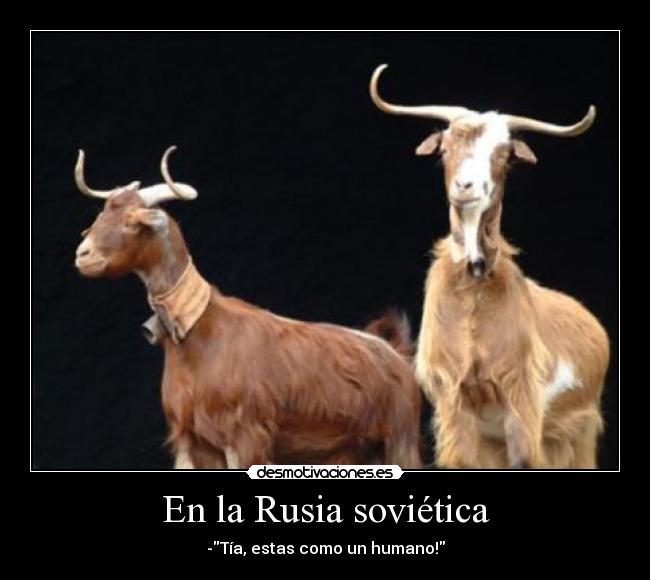 En la Rusia soviética - -Tía, estas como un humano!