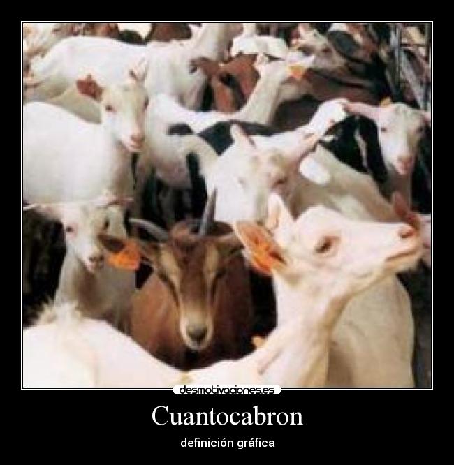 Cuantocabron - 