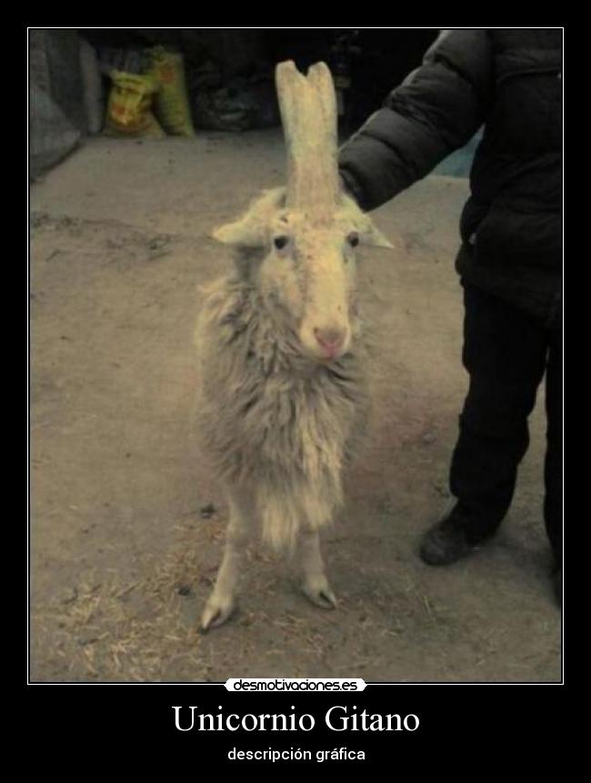 carteles sakuisaskises igorinho97 walt_k walt_l desmotivaciones