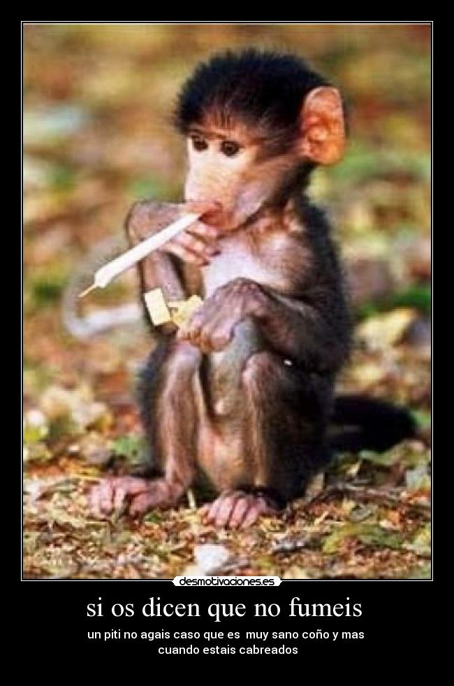 si os dicen que no fumeis  - 