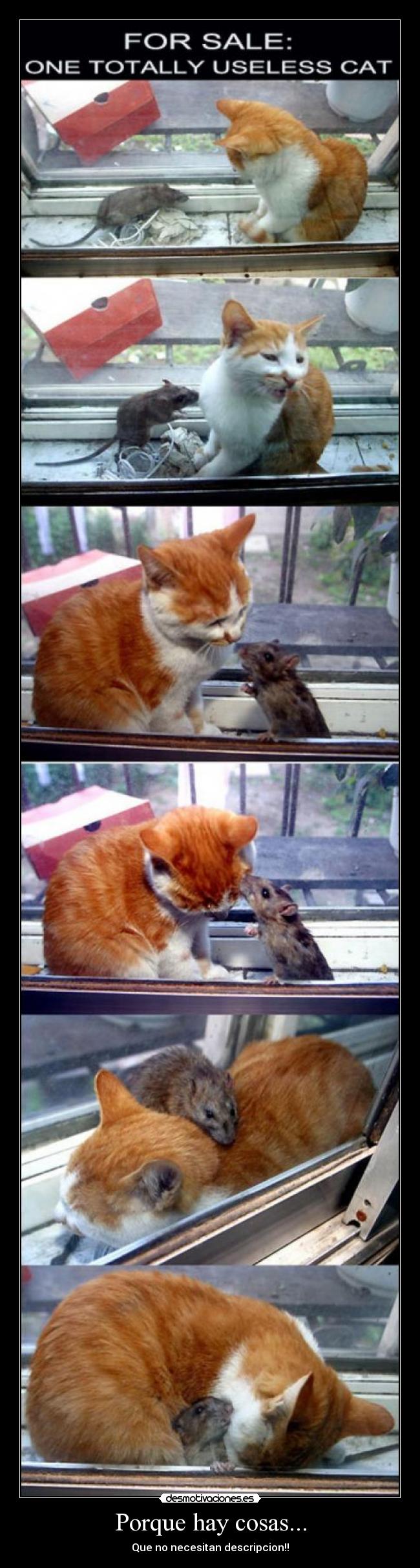 Porque hay cosas... - Que no necesitan descripcion!!
