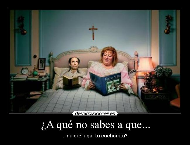 ¿A qué no sabes a que... - 