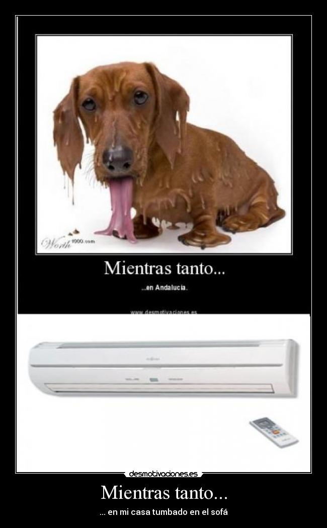 Mientras tanto... - ... en mi casa tumbado en el sofá