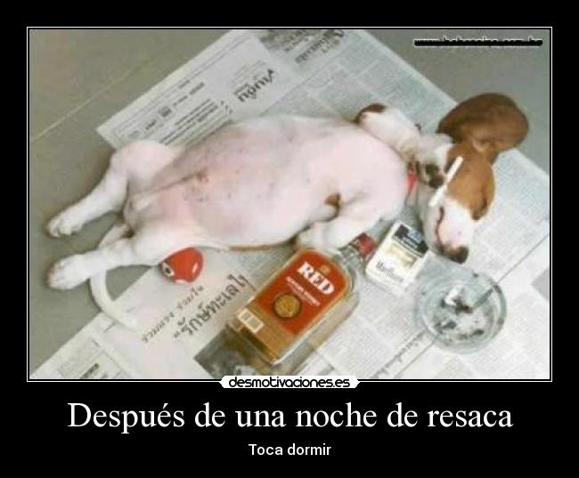 Después de una noche de resaca - 