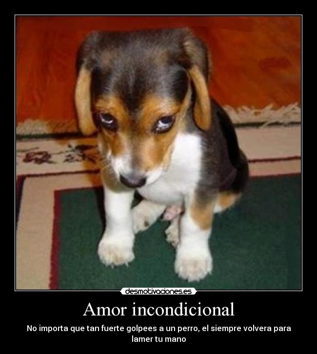 Amor incondicional -